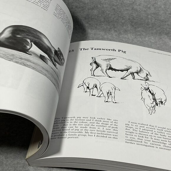 Projects for Creative Woodcarving by Ian Norbury 1995 Trade Paperback Good‎ - Picture 11 of 14